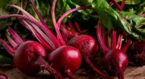 Beets seeds Showcase of Natural Beets seeds in fine gardening fine-gardening