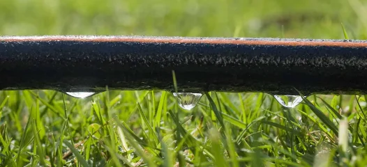 irrigation Drip irrigation