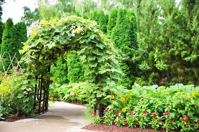 Incorporate Vertical Gardening arbor fine-gardening fine gardening