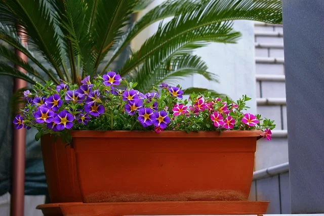 Incorporate Vertical Gardening flower fine-gardening fine gardening