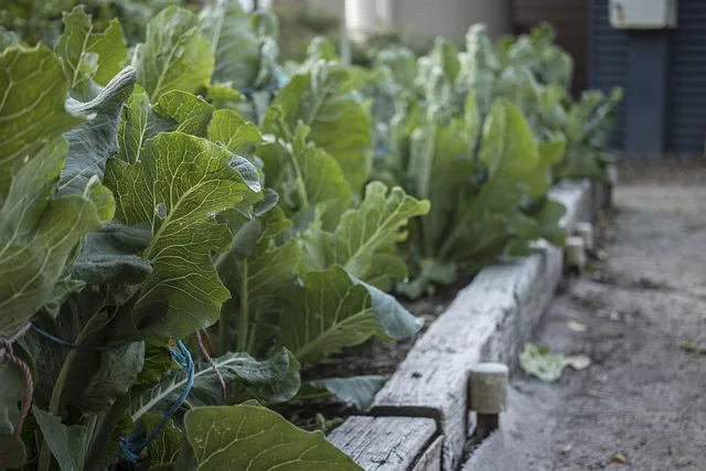 Incorporate Vertical Gardening garden bed fine-gardening fine gardening