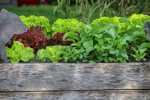 garden raised beds fine-gardening fine gardening