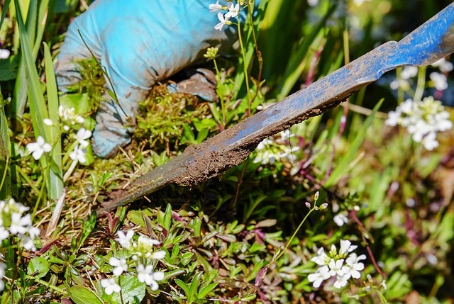 weeds fine gardening fine-gardening